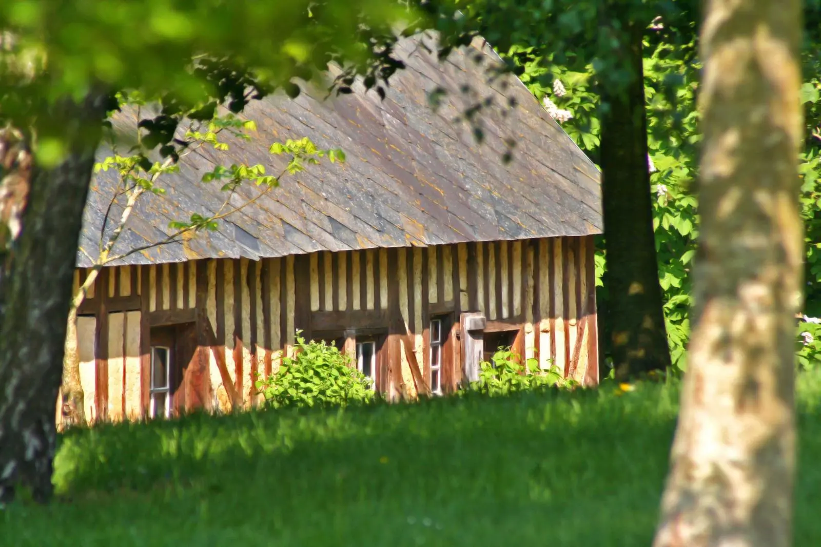 Maisons à colombages - programme Augustobona - Cœur historique de Troyes